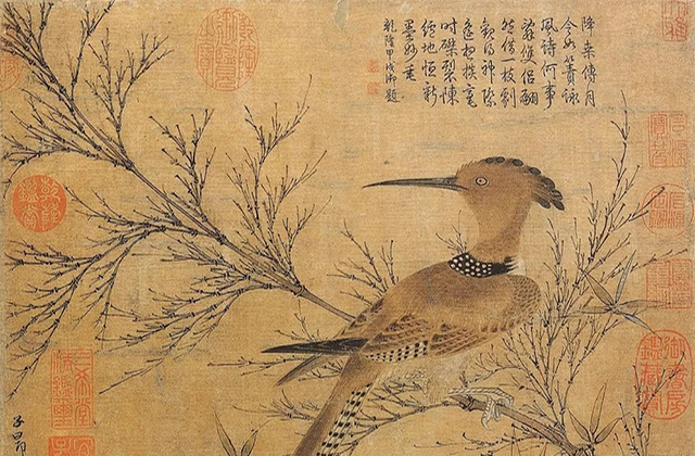历代工笔花鸟高清赏